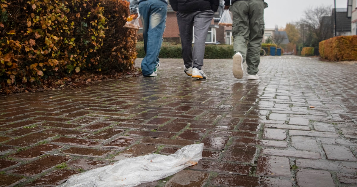 Reinier (40) haalt dagelijks broodzakjes uit zijn tuin in Apeldoorn: ‘Ik had geen idee, tot ik die s
