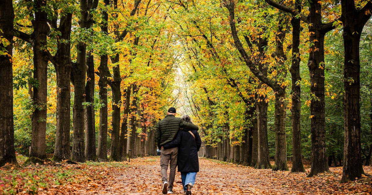 7 herfstwandelingen in Almere