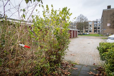 Veel vragen over dodelijke schietpartij in Meppel, afschuw over beelden die rondgaan van slachtoffer
