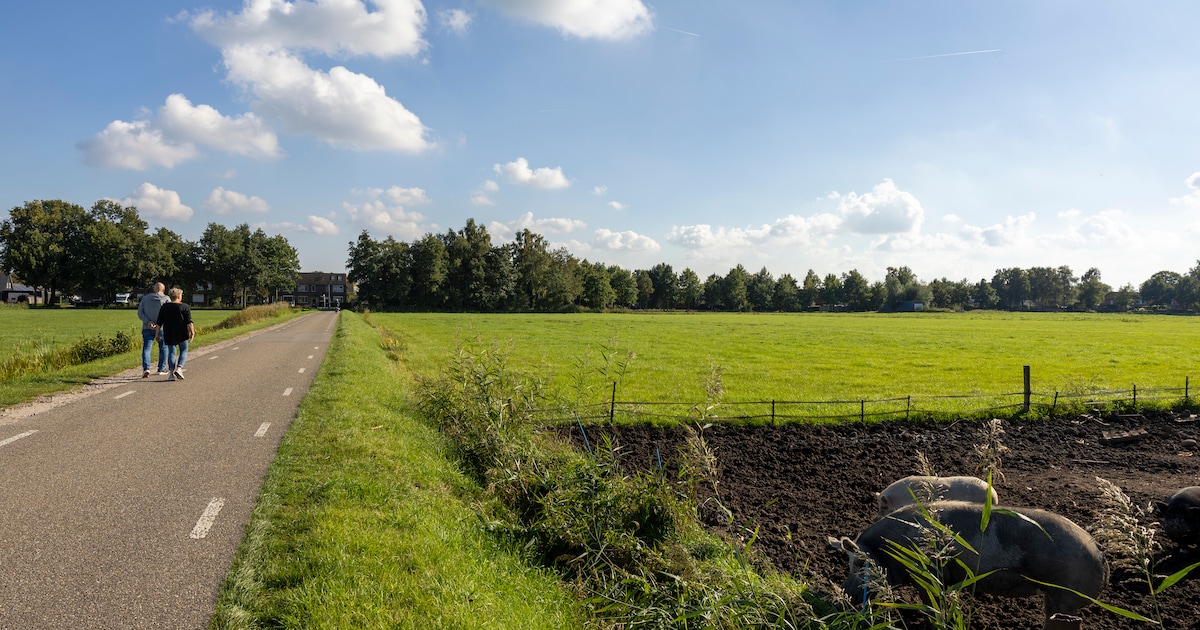 Elburg zit niet te wachten op nóg een bungalowpark of B&B en mikt vanaf nu op iets anders