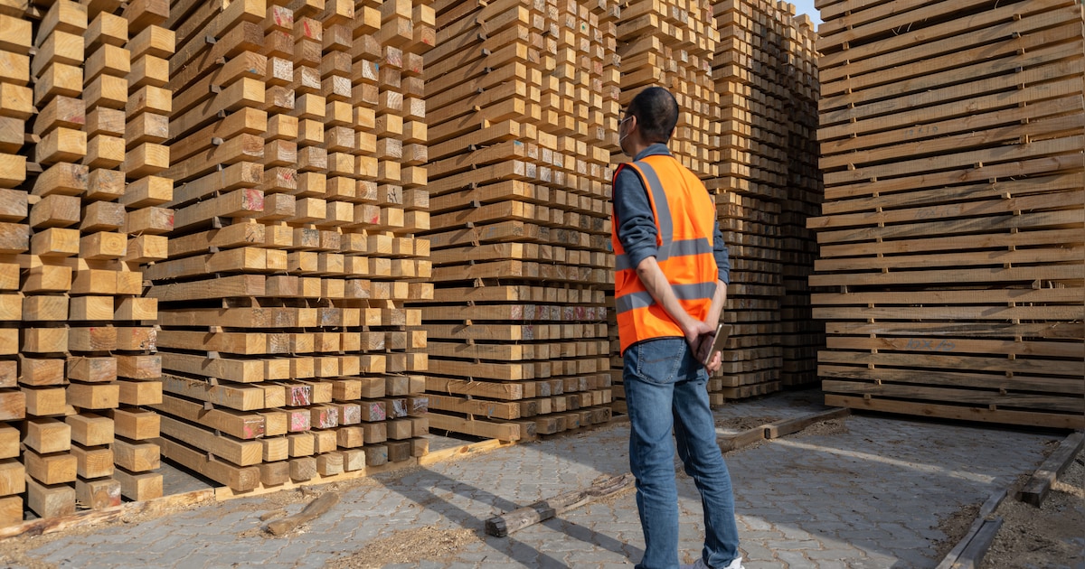 Bedrijf importeert jarenlang hardhout, maar in de papieren lijkt iets niet te kloppen: ‘Dat is toch 