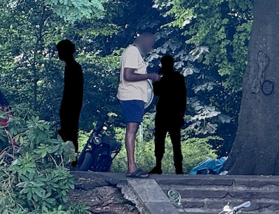 Moon (47) zat al jaren achter de tralies, maar gaat weer in de fout in populaire parken in Zwolle