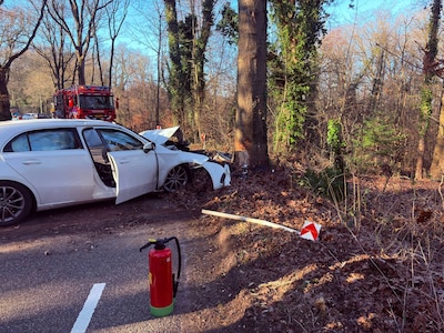 Auto botst tegen boom bij Ommen, bestuurder gewond