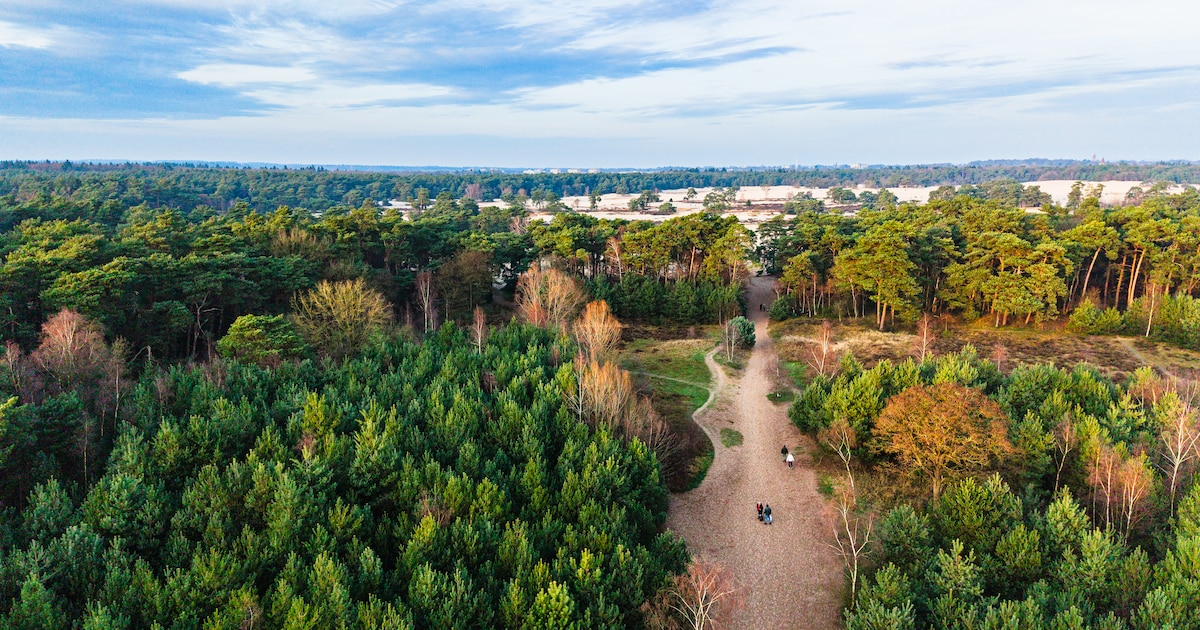 Nationaal Park Utrechtse Heuvelrug is nu twee keer zo groot, maar wat betekent dat eigenlijk?