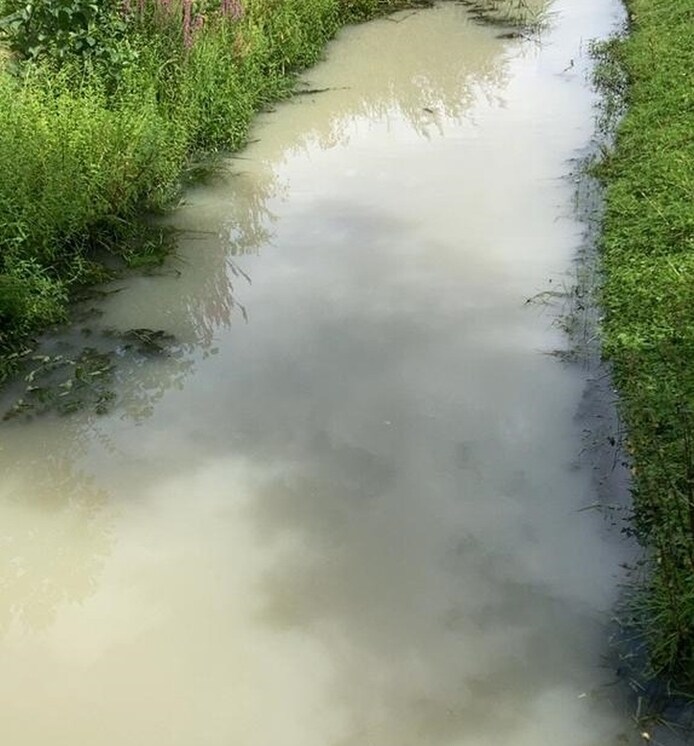 Wit water in Genemuiden, mysterie dagen later opgelost: dit was de ...
