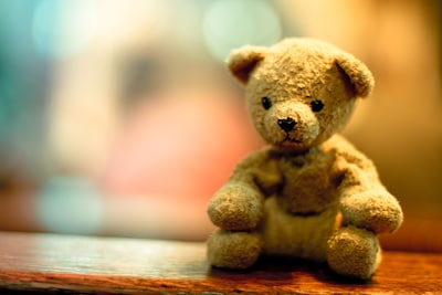Onze kleinzoon (3) is in het centrum van Apeldoorn zijn teddybeer verloren: wie helpt ons het beertje terug te vinden?