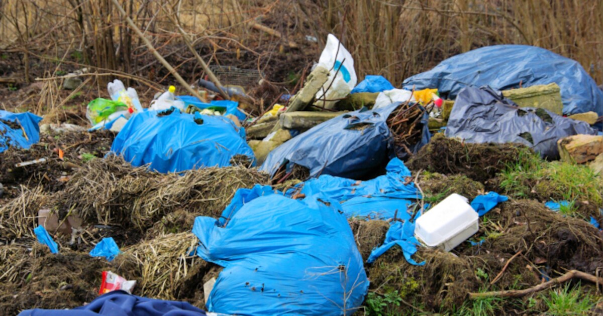 Illegaal afval gedumpt in Drents Nationaal Park