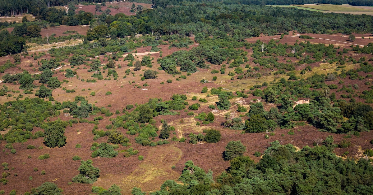 Gezamenlijk onderzoek moet waterproblemen rond Lemelerberg aanpakken