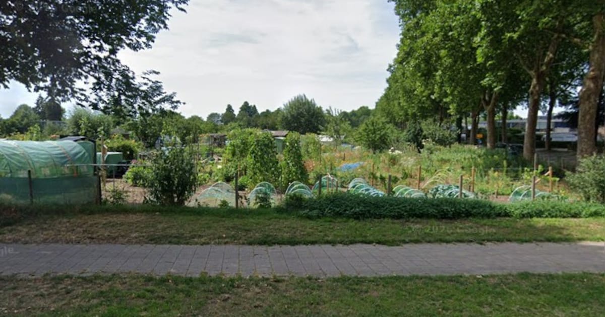 Oogstmarkt op volkstuincomplex in Zutphen met aandacht voor ambachten