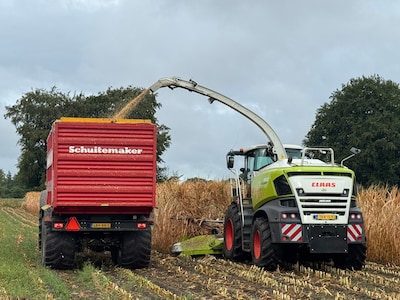 Augustus is pas net over de helft en loonwerkers in deze regio hakselen al mais: zo zit dat