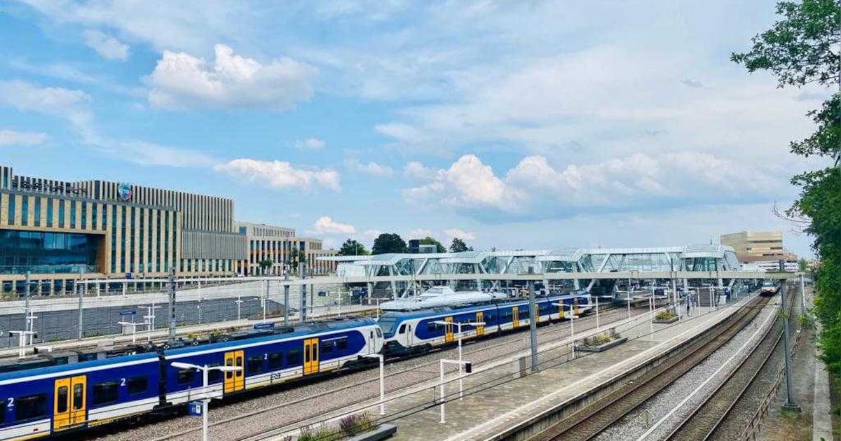 Beste reizigers: de komende twee weken rijden er minder treinen tussen Arnhem en Nijmegen