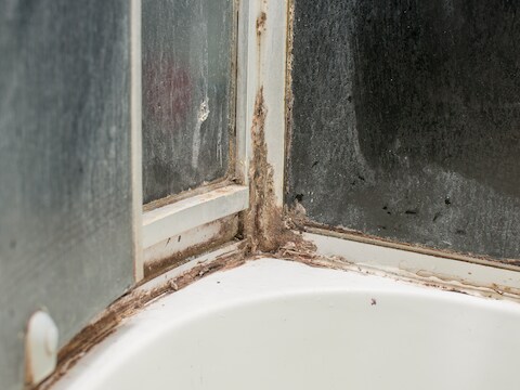 Ook de kitranden in de douche zijn lastig schoon te houden, weet Marja Middeldorp uit ervaring.