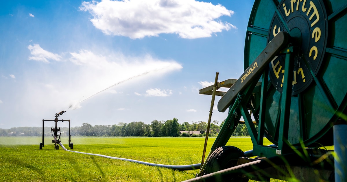 Te droog: watergebruik verboden in Ooijpolder en Groesbeek
