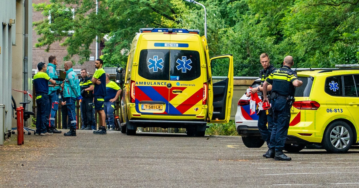Gewonde bij bedijfsongeval in Ermelo, veel hulpdiensten opgeroepen.