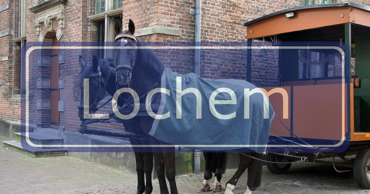 Katten in Zutphense wijk Leesten vergiftigd