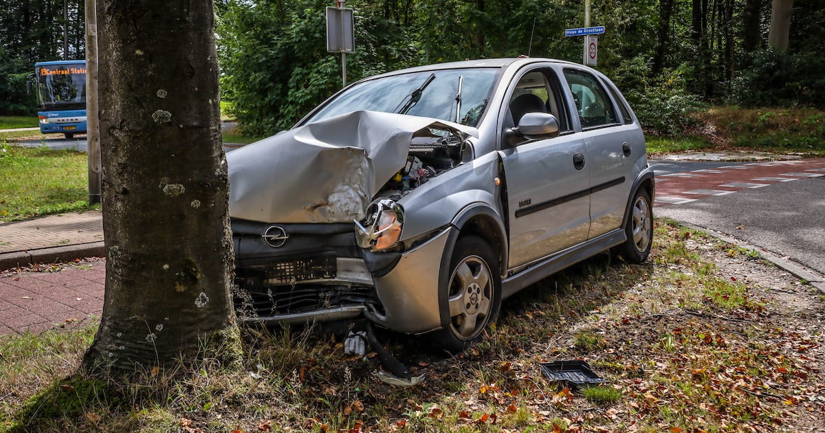 Auto botst tegen boom na uitwijkmanoeuvre, andere bestuurder rijdt door