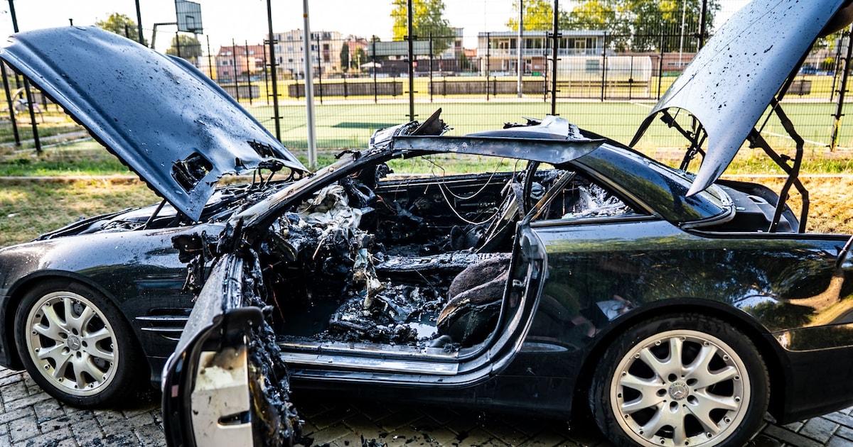Bestuurder zet brandende auto op tijd aan de kant in Doesburg
