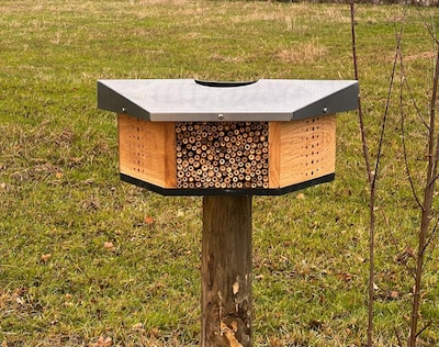 Door bijenhotels te plaatsen, onderzoekt Staphorst hoe het is gesteld met de lokale natuur