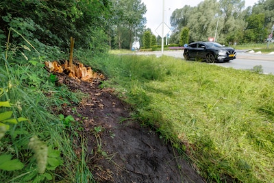 Deskundigen keihard na ongeval met boom waarbij on