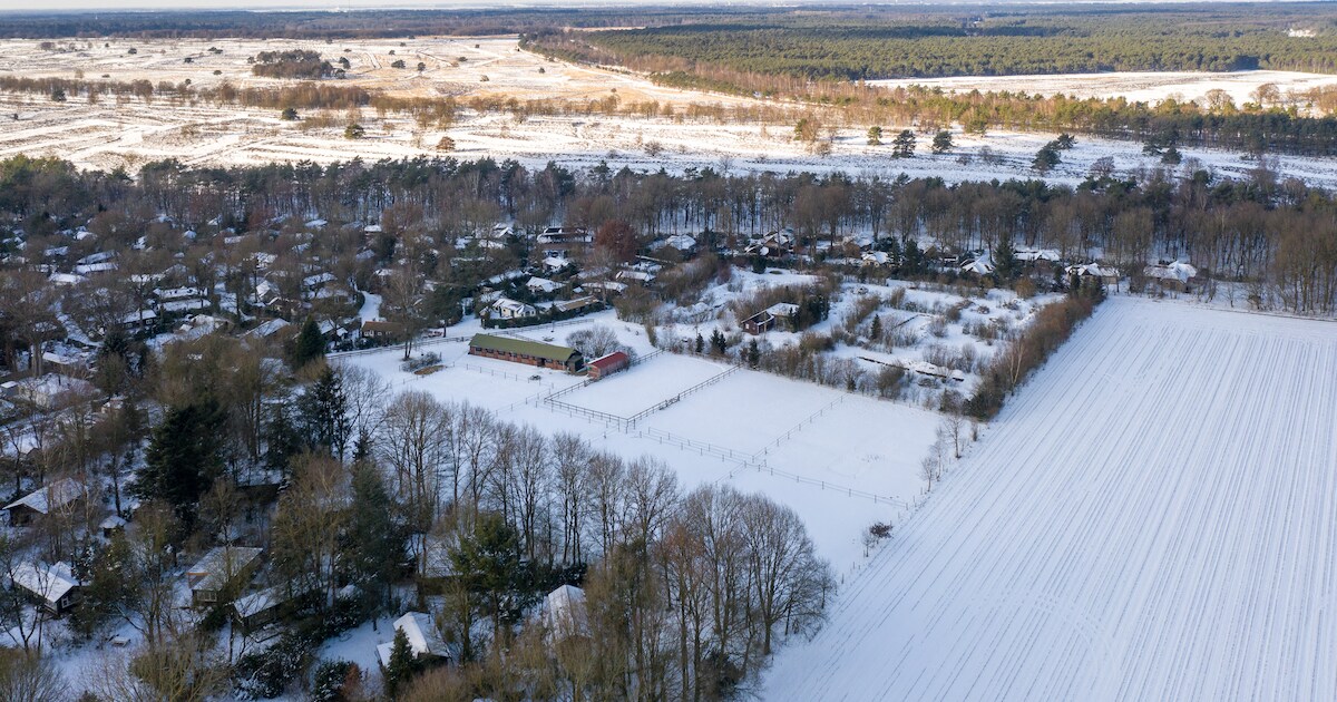 Strijd over bungalows met paardenstallen in Speuld nog niet gestreden voor Raad van State