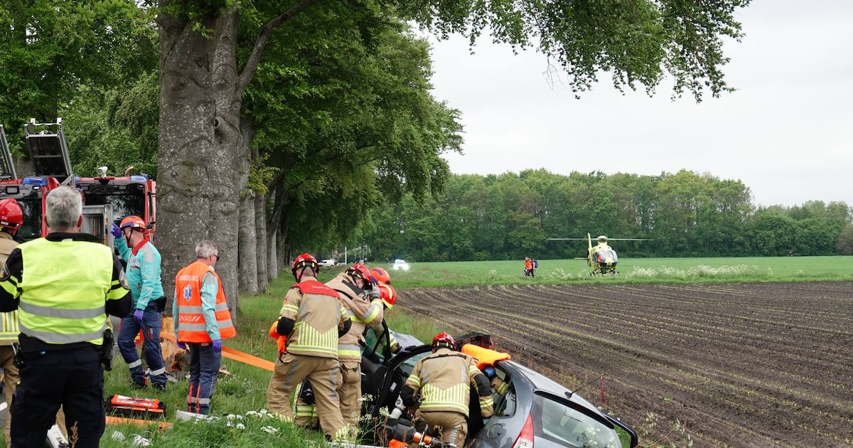 Ernstig ongeluk in De Krim: auto met meerdere inzittenden crasht tegen boom