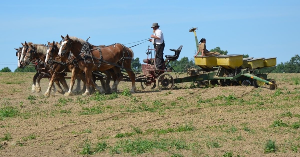 Lezing in Nieuwleusen over overeenkomsten tussen Amish en Staphorst