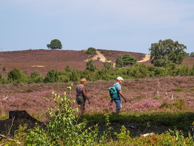 Wandeling over Lemeler- en Archemerberg met natuurgids