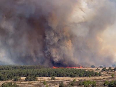 Grote natuurbrand op artillerieterrein bij ’t Harde, A28 afgesloten
