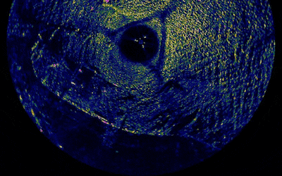 Hoe unieke vondst in de IJssel experts en liefhebbers al 15 jaar in z’n greep houdt: ‘Dit is echt ee