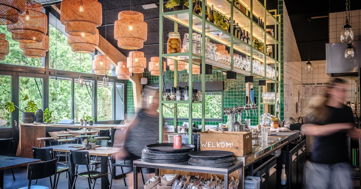 Je eet bij Boscafé Buiten in de Kuil op een toplocatie in het bos, maar de rest laat te wensen over